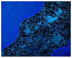 ©2008 Lisa Brugger Depths of Blu - Acrylic with Mix Media on Canvas 18X24