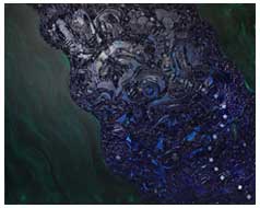 ©2008 Lisa Brugger Serenity2 - Acrylic with Mix Media on Canvas 48 X 60